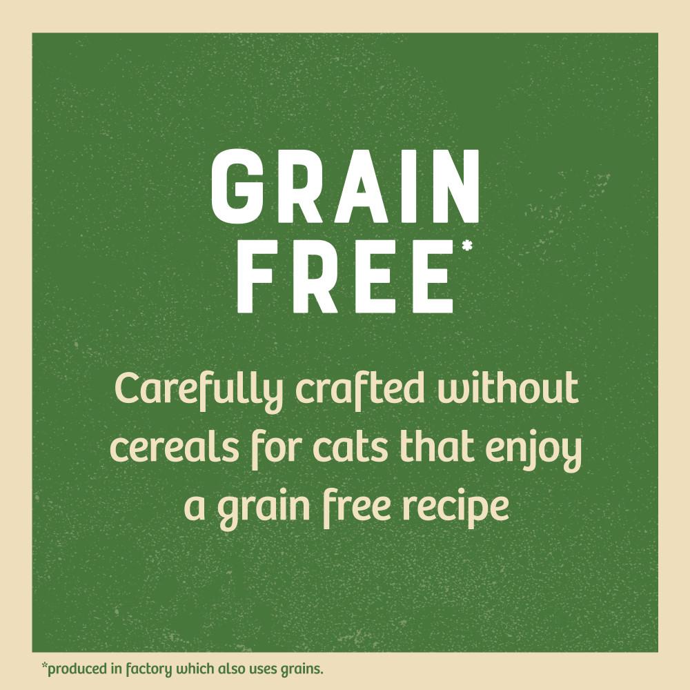 James Wellbeloved Adult Grain Free Turkey in Gravy Wet Cat Food Pouches - 12 x 85g