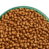 James Wellbeloved Kitten Complete Dry Cat Food Biscuits Turkey - 4kg