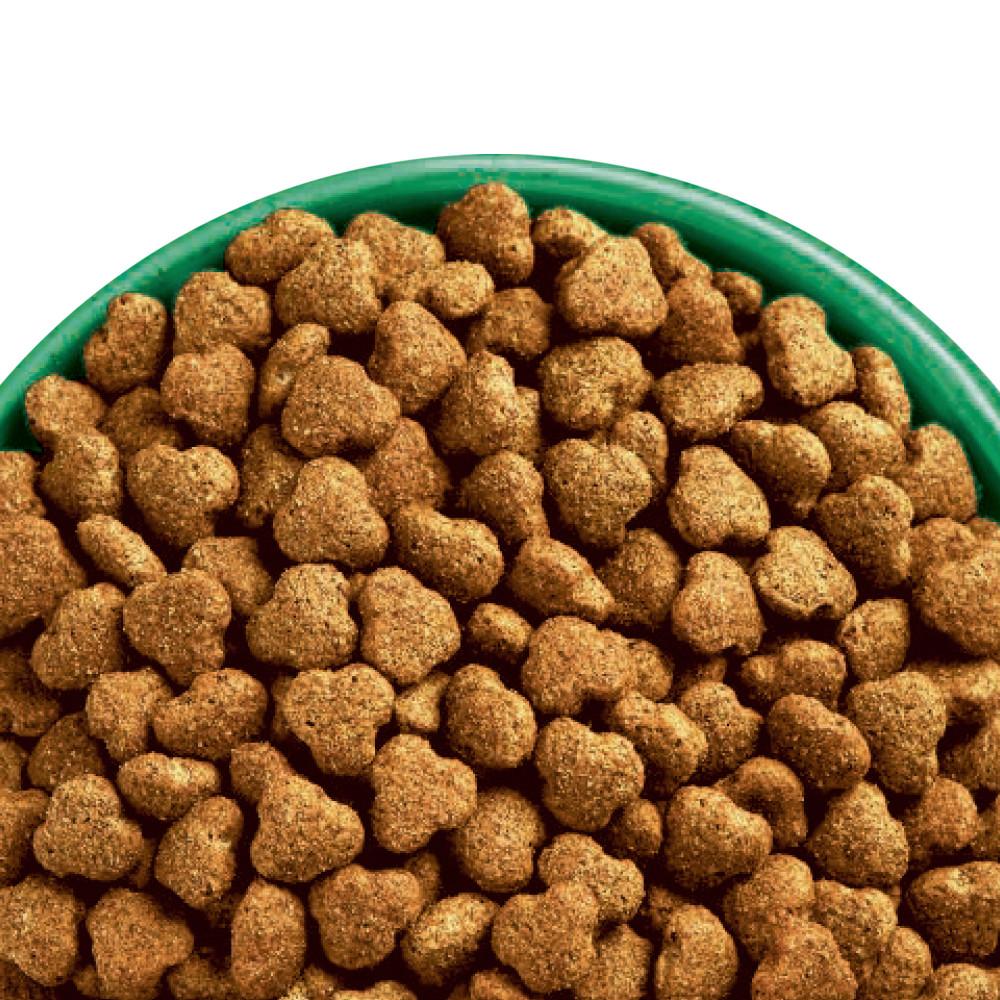 James Wellbeloved Turkey & Rice Senior Dry Dog Food - 15kg