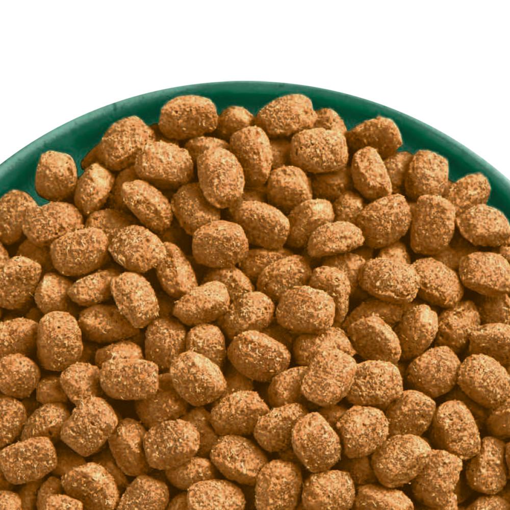 James Wellbeloved Turkey & Rice Senior Small Breed - 1.5kg