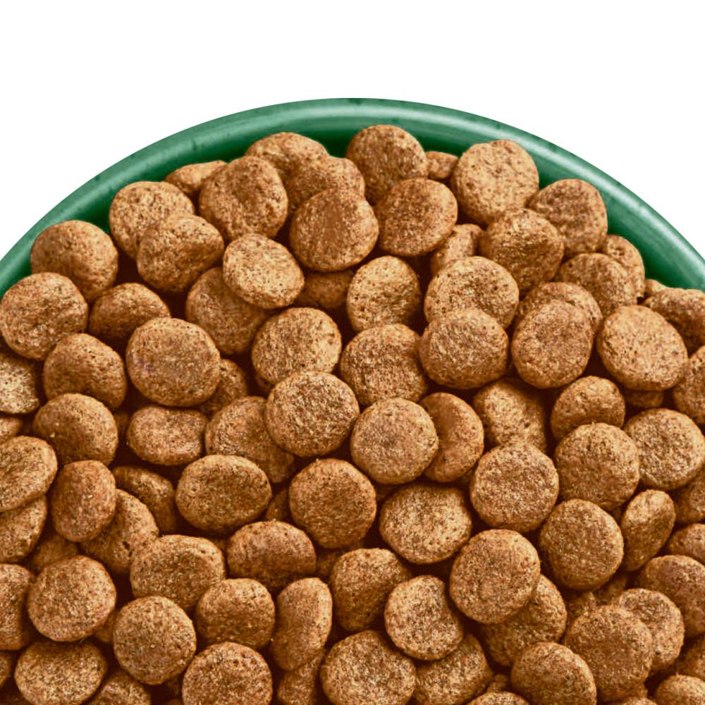 James Wellbeloved Turkey & Vegetable Grain Free Senior Dry Dog Food - 10kg