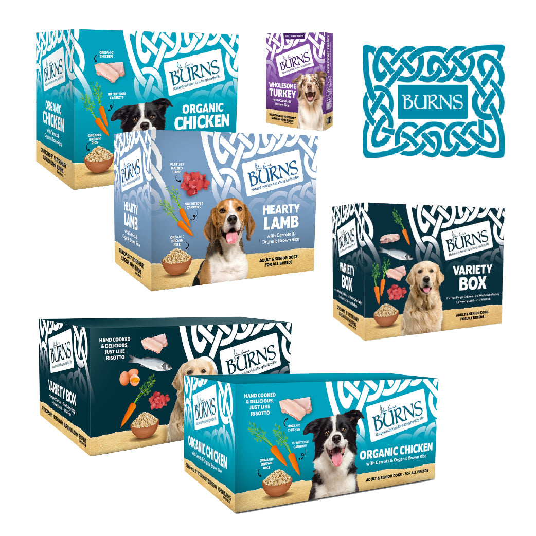 Burns Wet Dog Food Trays - Bumper, Organic & Variety Range