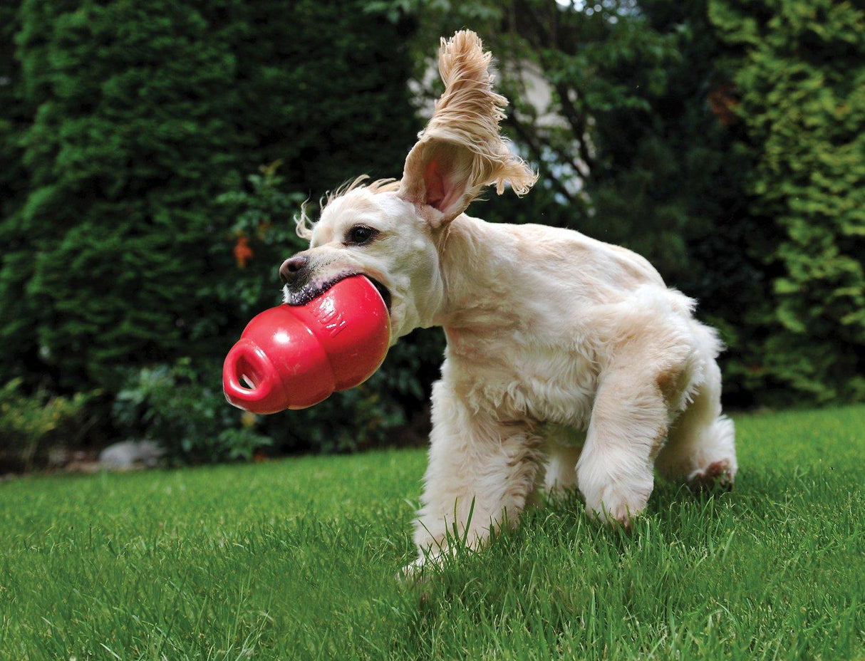 KONG Bounzer Medium