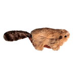 KONG Refillables Beaver