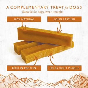 Long-Lasting Chews