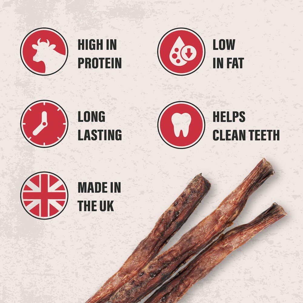 Pawtein Natural Long Beef Pizzle Sticks Dog Treats - 1kg