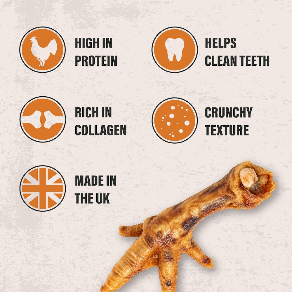 Pawtein Natural Chicken Feet Dog Treats - 1kg