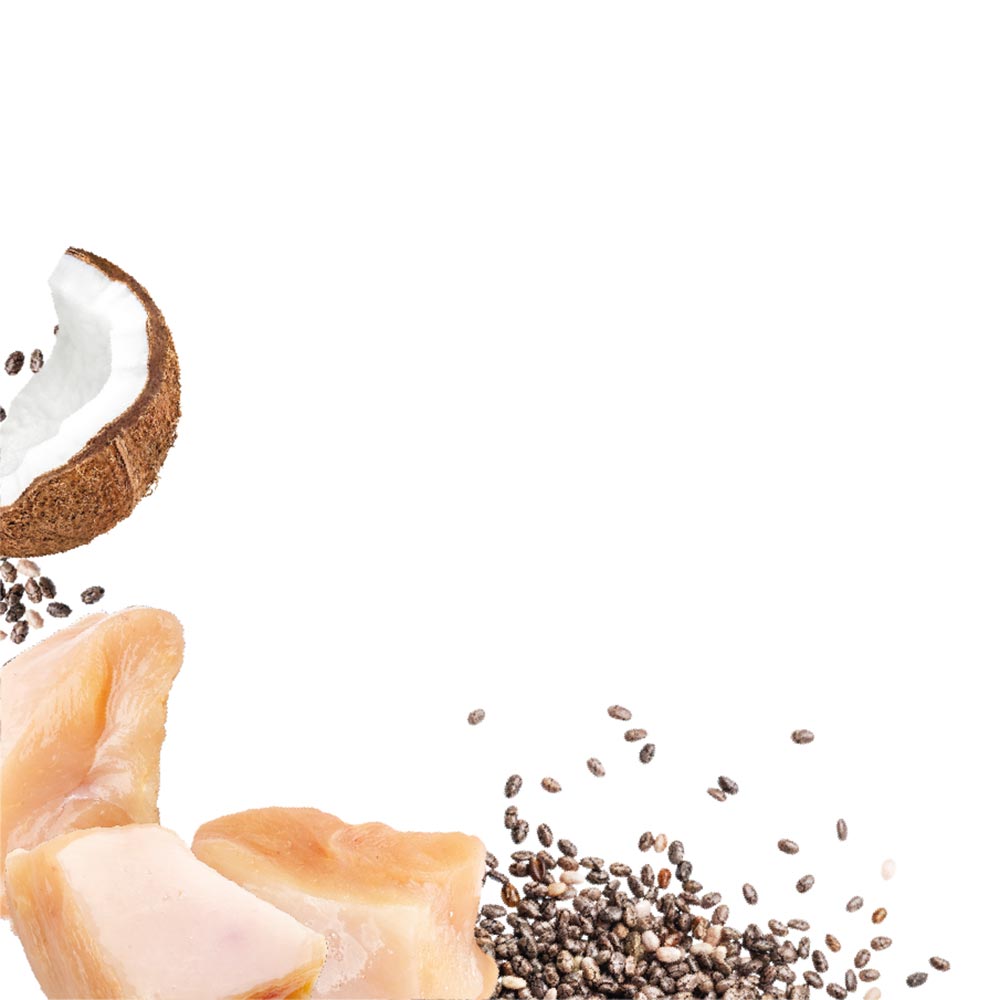 Natures Menu Chicken Superfood Snacks Dog Treats - 70g