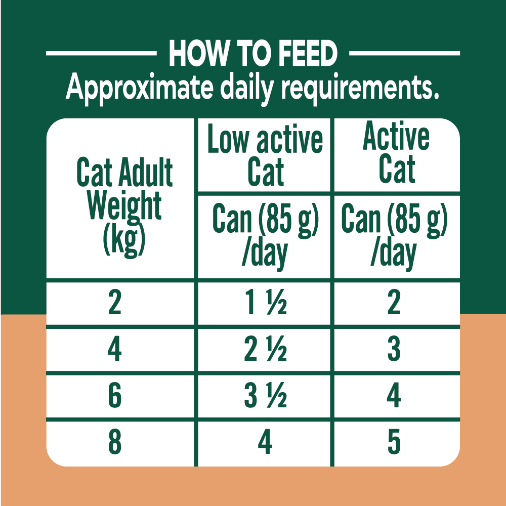 Natures Menu Especially for Cats Chicken with Salmon & Tuna Wet Cat Food Cans - 18 x 85g