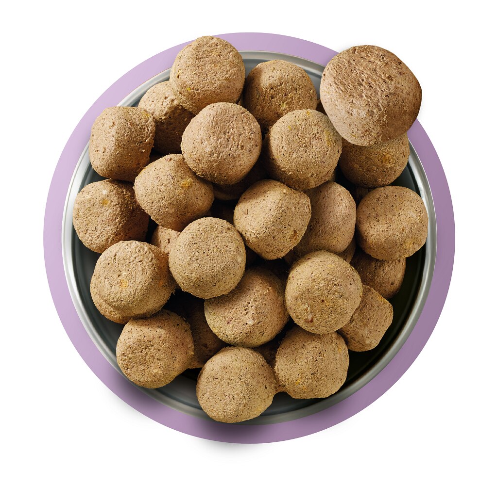 Natures Menu Freeze-Dried 80/20 Turkey Dog Food - 250g