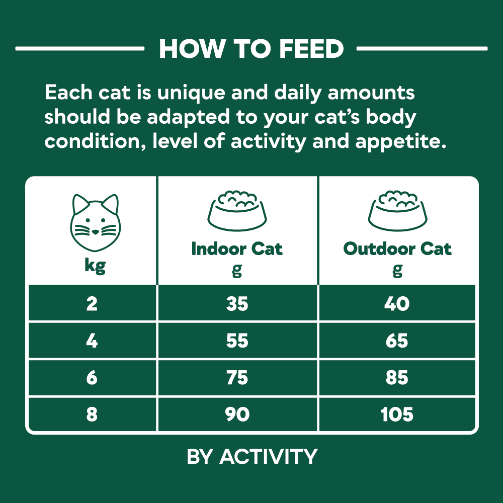 Natures Menu High in Meat Grain Free Deboned Turkey Dry Cat Food - 1.25kg