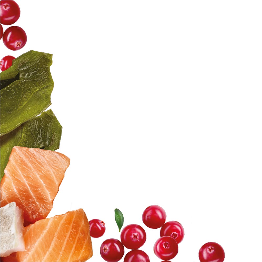 Natures Menu Salmon and White Fish Superfood Snacks Dog Treats - 70g