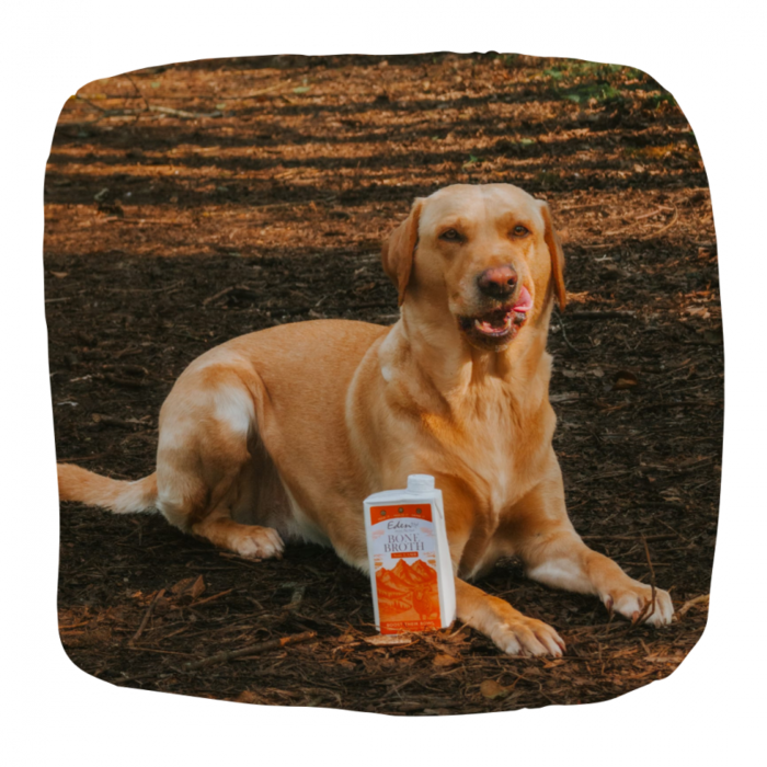 Eden Nordic Lamb Bone Broth - 500ml