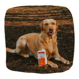Eden Nordic Lamb Bone Broth - 500ml