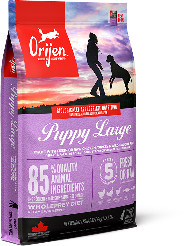 Orijen Large Breed Dry Puppy Food - 6kg
