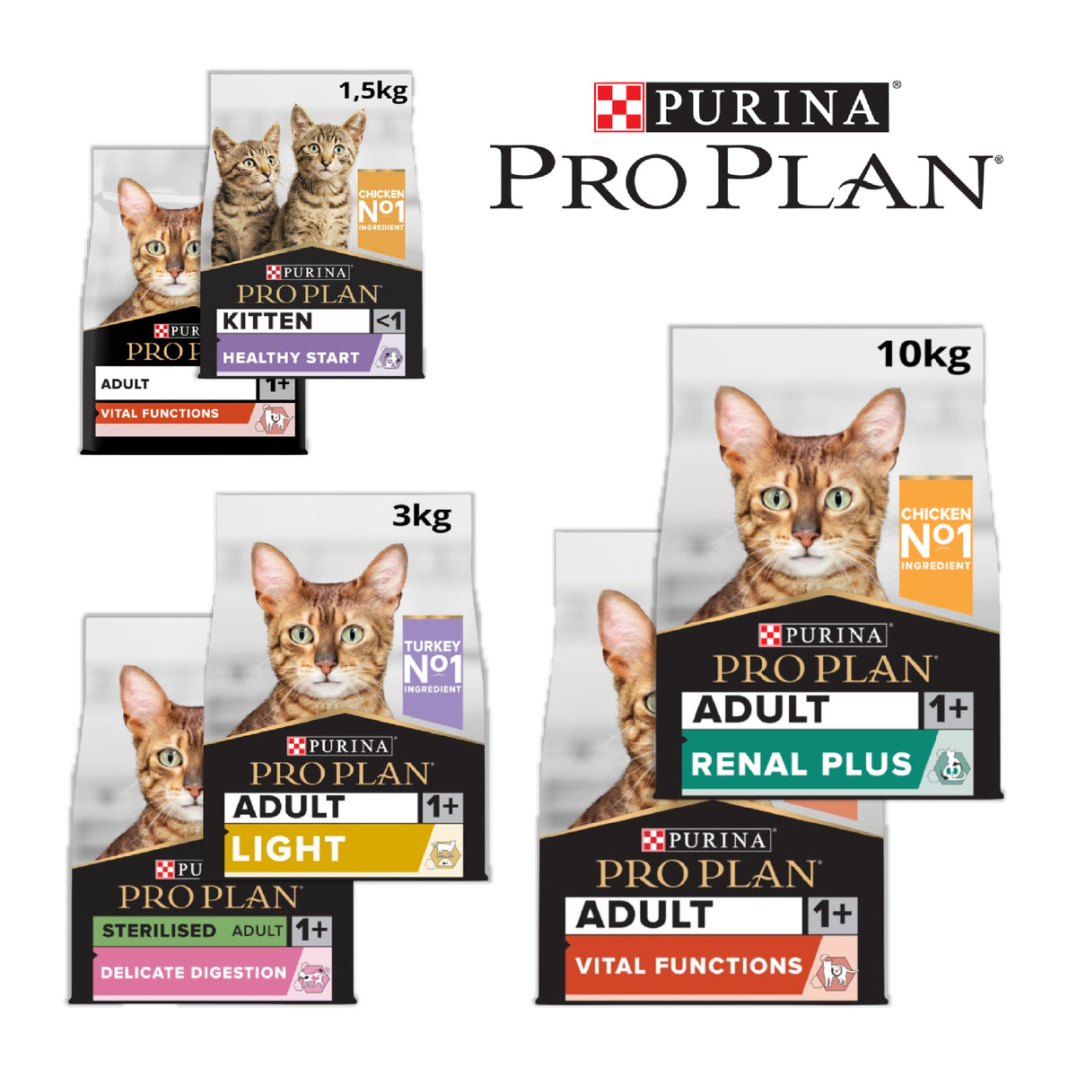 Pro Plan Dry Cat Food – Adult, Kitten & Senior Recipes