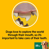 Pedigree Dentastix Daily Adult Dog Treats 315 Dental Sticks
