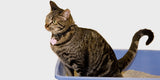 DUKE Plastic Cat Litter Tray - Grey