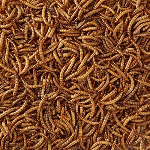 DUKE Premium Mealworms for Birds - 75g