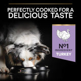 Pro Plan Grain Free Sensitive Digestion Turkey Dry Dog Food - 12kg