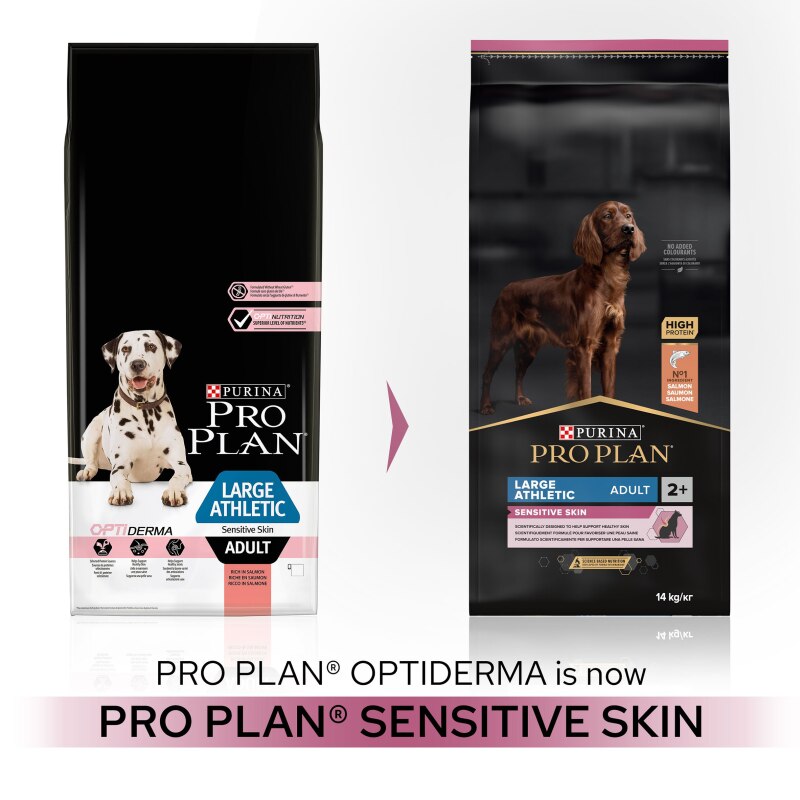 Pro Plan Large Athletic Sensitive Skin Salmon Dry Dog Food - 14kg