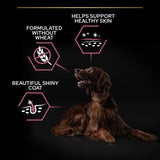 Pro Plan Large Athletic Sensitive Skin Salmon Dry Dog Food - 14kg
