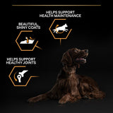 Pro Plan Large Athletic Everyday Nutrition Chicken Dry Dog Food - 14kg