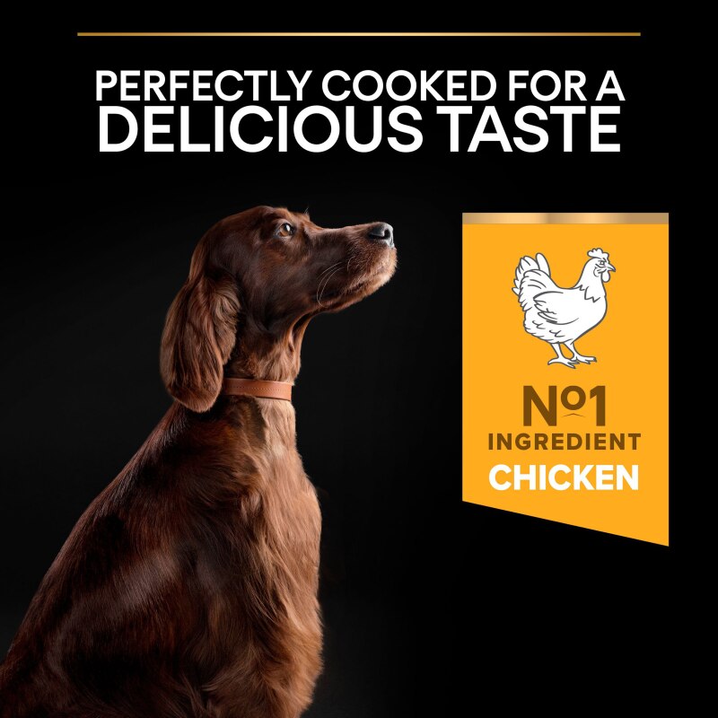 Pro Plan Large Athletic Everyday Nutrition Chicken Dry Dog Food - 14kg