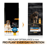 Pro Plan Large Robust Everyday Nutrition Chicken Dry Dog Food - 14kg