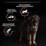 Pro Plan Large Robust Everyday Nutrition Chicken Dry Dog Food - 14kg