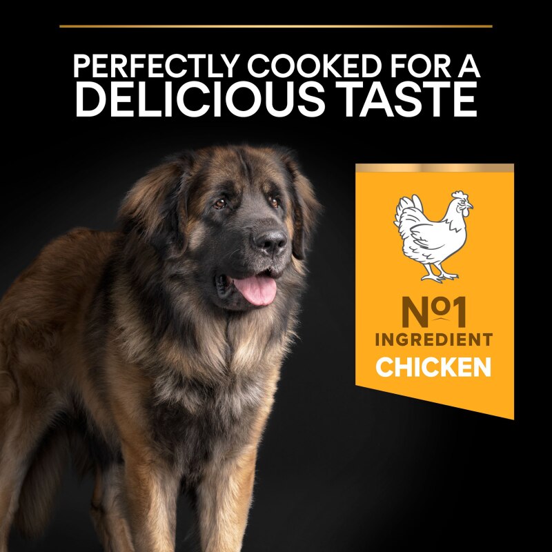 Pro Plan Large Robust Everyday Nutrition Chicken Dry Dog Food - 14kg
