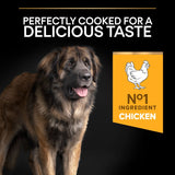 Pro Plan Large Robust Everyday Nutrition Chicken Dry Dog Food - 14kg