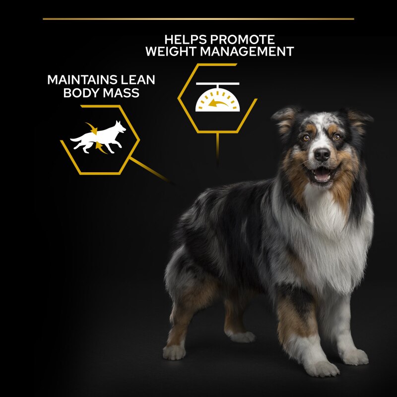 Pro Plan All Sizes Light / Neutered Chicken Dry Dog Food - 14kg