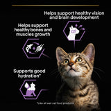 Pro Plan NutriSavour Kitten Turkey Wet Cat Food - 10 x 85g