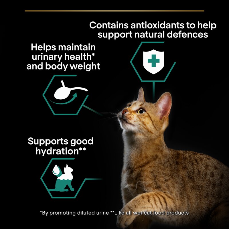 Pro Plan NutriSavour Neutered Chicken Wet Cat Food - 10 x 85g