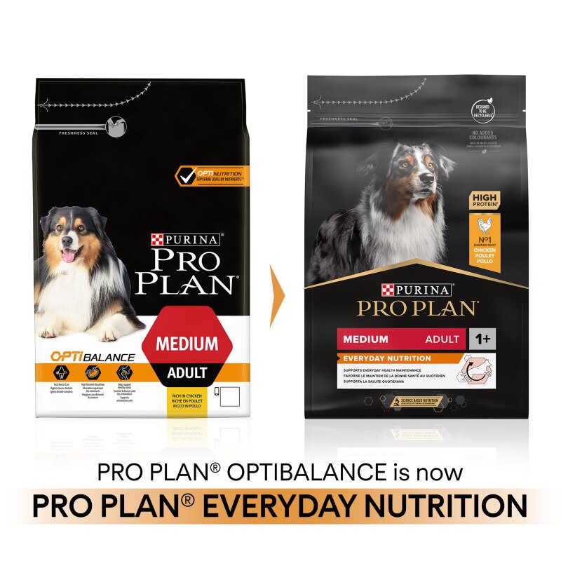 Pro Plan Medium Everyday Nutrition Chicken Dry Dog Food - 3kg