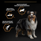 Pro Plan Medium Everyday Nutrition Chicken Dry Dog Food - 3kg