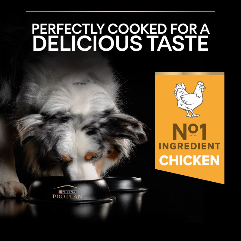 Pro Plan Medium Everyday Nutrition Chicken Dry Dog Food - 14kg