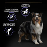 Pro Plan All Sizes Performance Chicken Dry Dog Food - 14kg