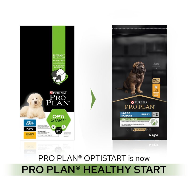 Pro Plan Large Robust Puppy Healthy Start Chicken Dry Dog Food - 3kg