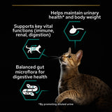 Pro Plan Senior 7+ Sterilised Maintenance with Turkey in Gravy Wet Cat Food Pouches - 10 x 85g