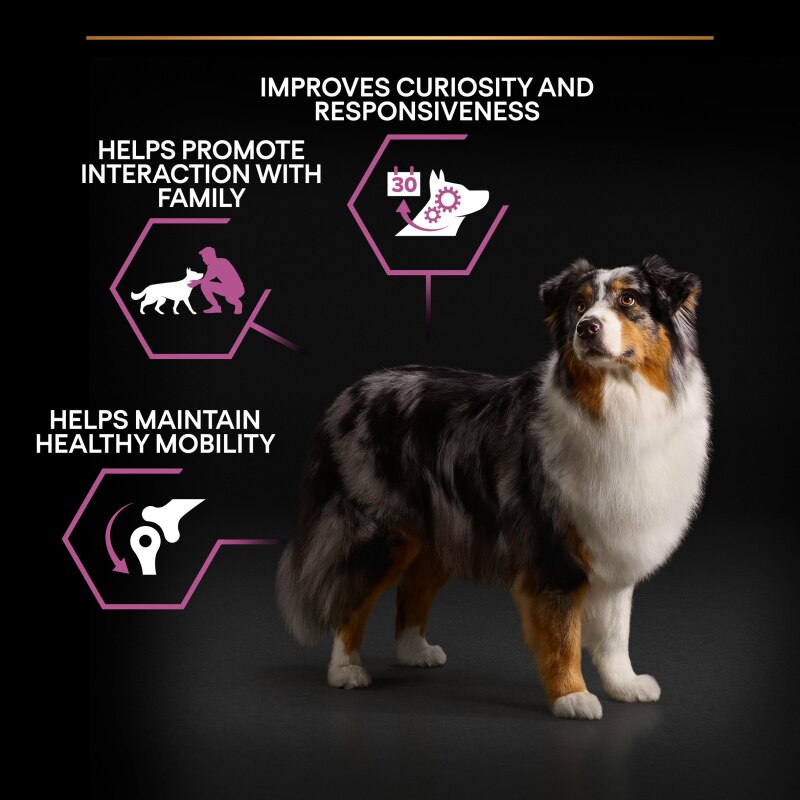 Pro Plan Medium & Large Senior Age Defence 7+ Chicken Dry Dog Food - 14kg