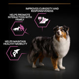 Pro Plan Medium & Large Senior Age Defence 7+ Chicken Dry Dog Food - 14kg