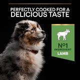 Pro Plan Medium Puppy Sensitive Digestion Lamb Dry Dog Food - 12kg