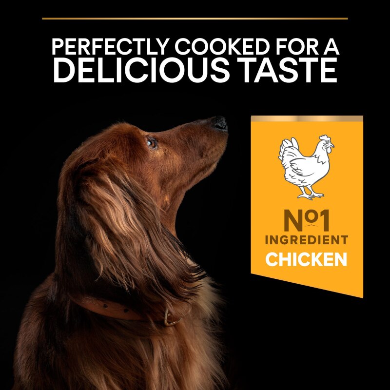 Pro Plan Small & Mini Everyday Nutrition Chicken Dry Dog Food - 7kg