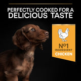 Pro Plan Small & Mini Puppy Healthy Start Chicken Dry Dog Food - 3kg