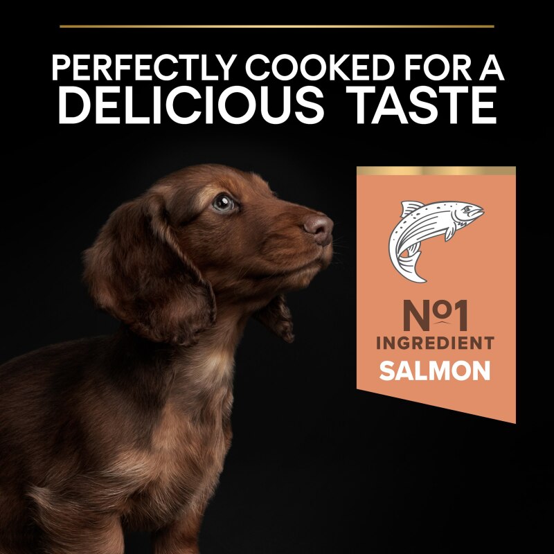 Pro Plan Small & Mini Sensitive Skin Salmon Dry Dog Food - 3kg