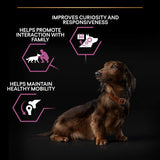 PRO PLAN Small & Mini Adult Senior Dry Dog Food Age Defence 9+ Rich in Chicken - 3kg