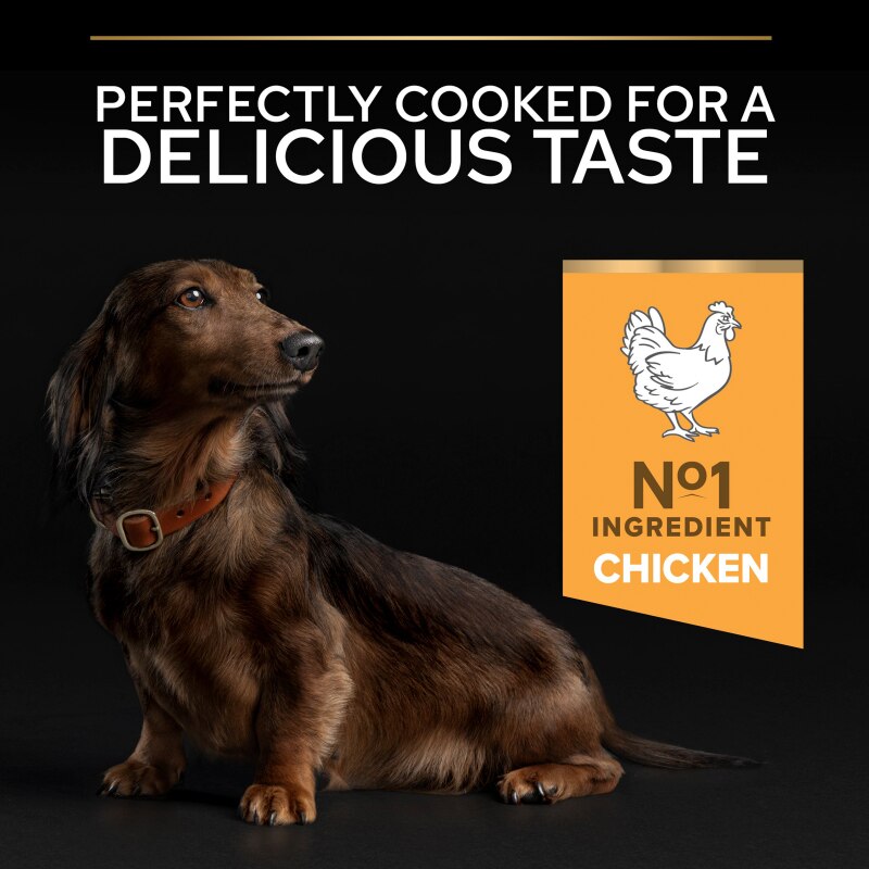 PRO PLAN Small & Mini Adult Senior Dry Dog Food Age Defence 9+ Rich in Chicken - 3kg