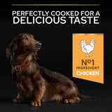 PRO PLAN Small & Mini Adult Senior Dry Dog Food Age Defence 9+ Rich in Chicken - 3kg